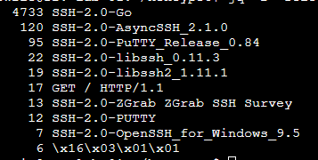 Recuento de versiones de cliente SSH: 4733 SSH-2.0-Go, 120 AsyncSSH, 95 PuTTY, 22 libssh, 19 libssh2, 17 GET / HTTP/1.1, 13 ZGrab SSH Survey, 7 OpenSSH for Windows